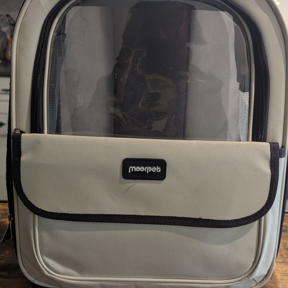 Cream Cat Travel Carrier